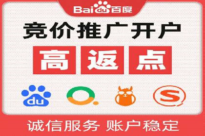 百度竞价推广运营策略：成功案例解析